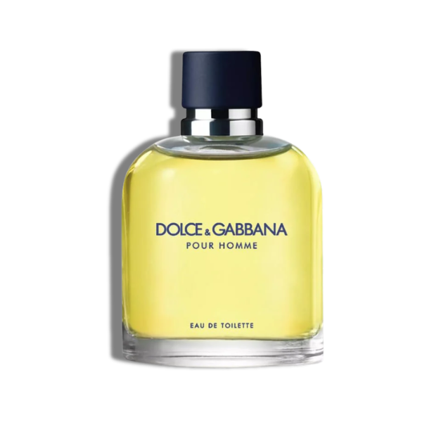 Dolce & Gabbana Pour Homme 125ml/4.2 Oz EDT Men